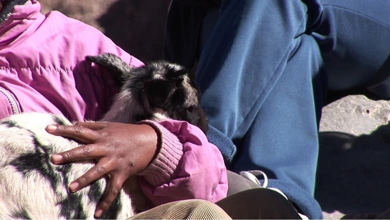 кадр из фильма Nueva Argirópolis