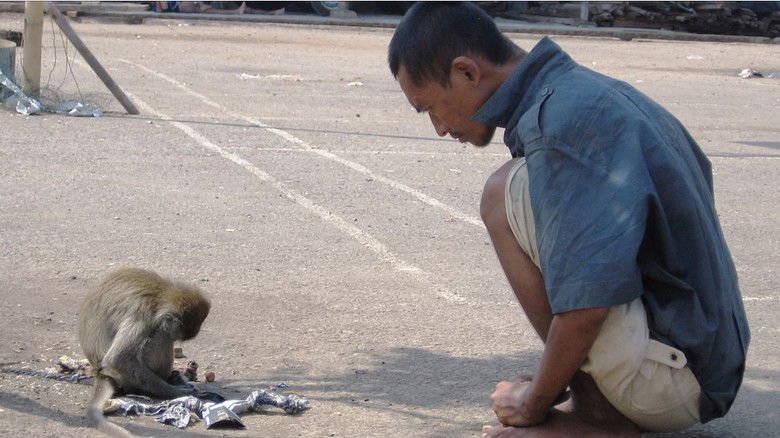 кадр из фильма Heaven for Insanity