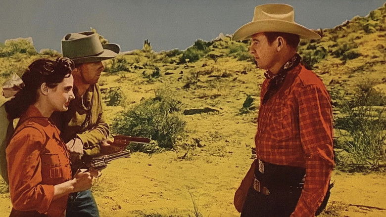 кадр из фильма The Last Musketeer