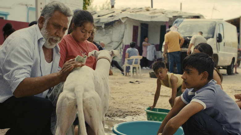 кадр из фильма Ciudad sin sueño