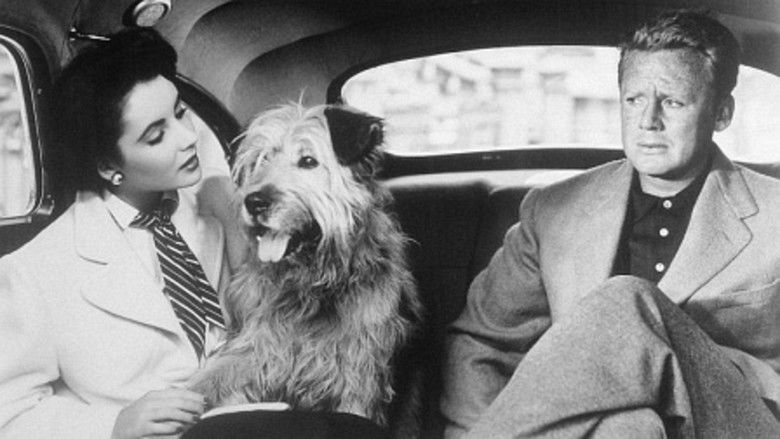 кадр из фильма The Big Hangover