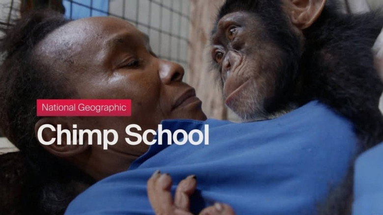 кадр из фильма Chimp School