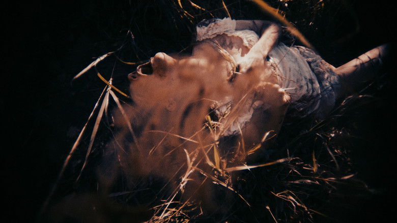 кадр из фильма Trolls