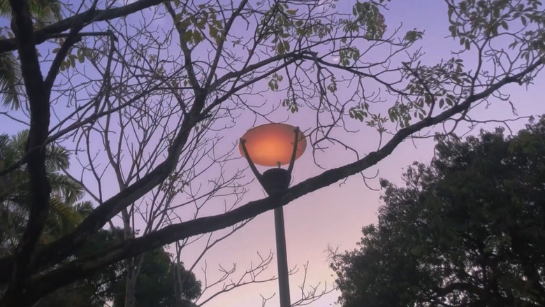 кадр из фильма lixo sentimental