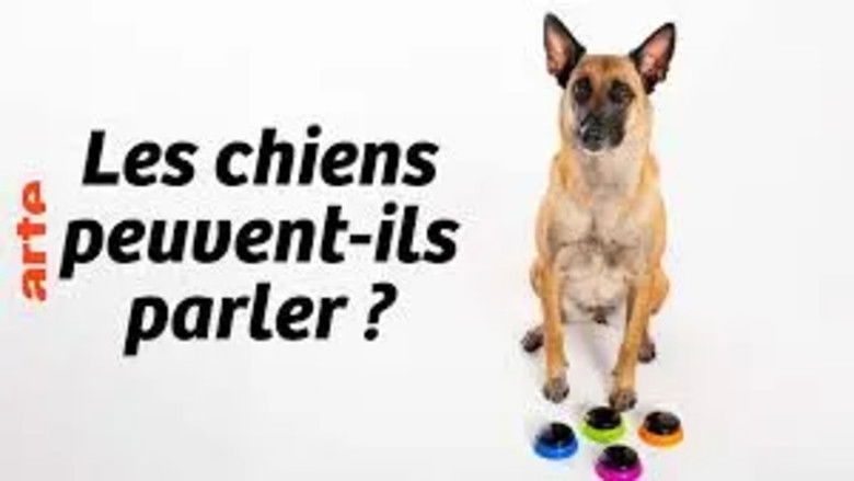 кадр из фильма Can Dogs Talk?