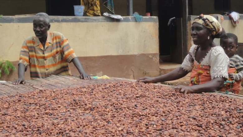 кадр из фильма Doux-amer : cacao bio du Ghana