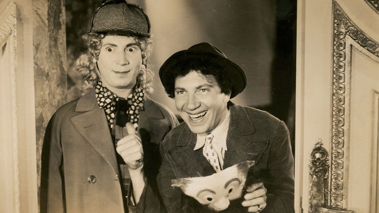 кадр из фильма Утиный суп