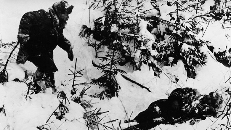 кадр из фильма Po sledu vlastelina