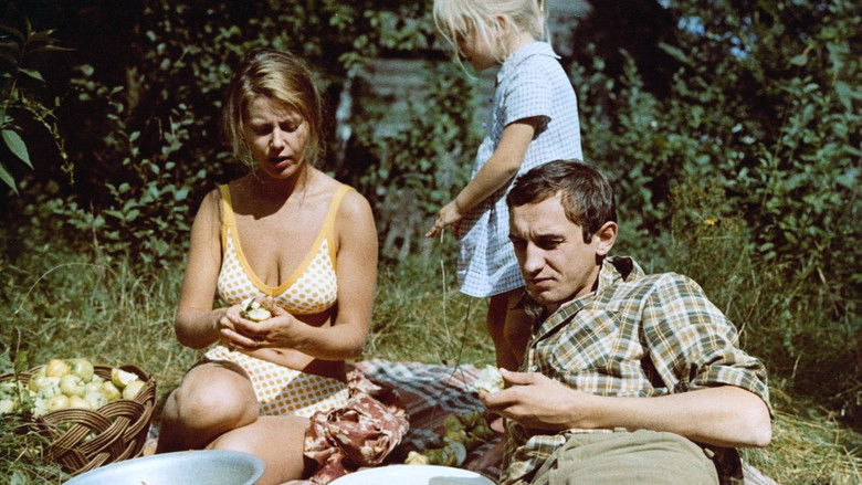 кадр из фильма Лето кончается осенью