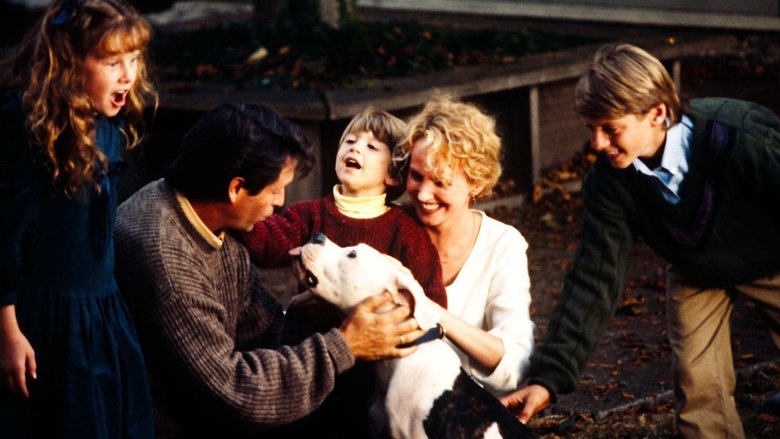 кадр из фильма Дорога домой: Невероятное путешествие