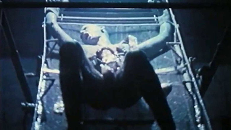 кадр из фильма La organización negra (Ejercicio Documental)