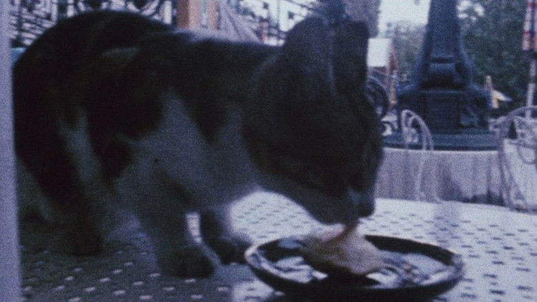 кадр из фильма Diaries, Notes, and Sketches