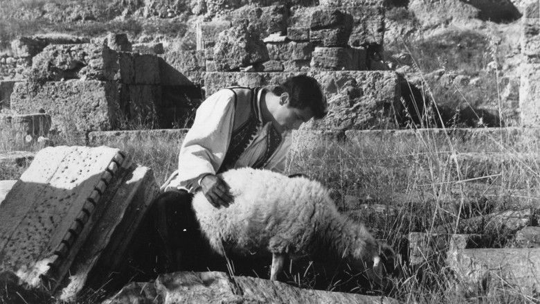 кадр из фильма It Happened in Athens