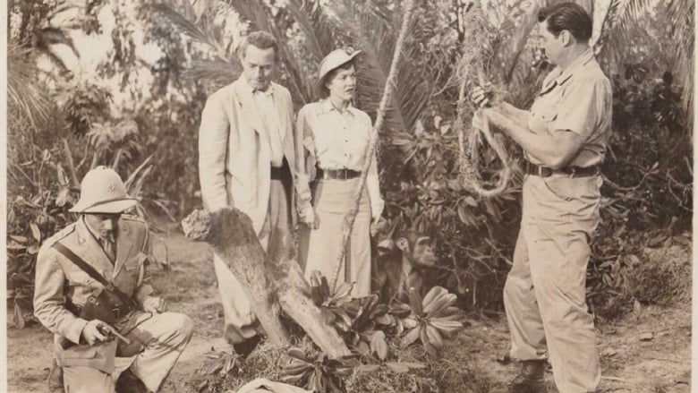 кадр из фильма Valley of Head Hunters