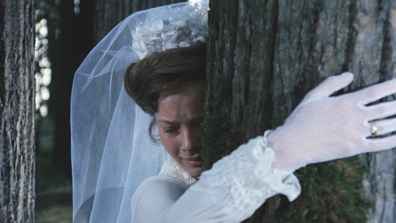 кадр из фильма Мой ласковый и нежный зверь