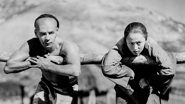 кадр из фильма Благословенная земля