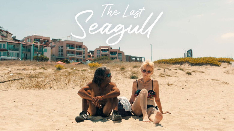 кадр из фильма The Last Seagull