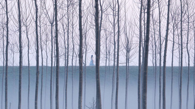 кадр из фильма La Grazia