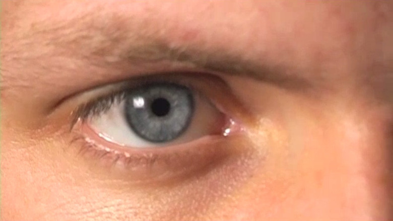 кадр из фильма Mayflower