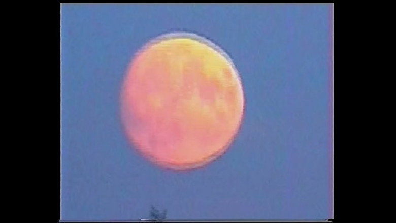 кадр из фильма Hey World!