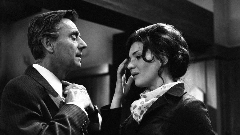 кадр из фильма Taková letní noc