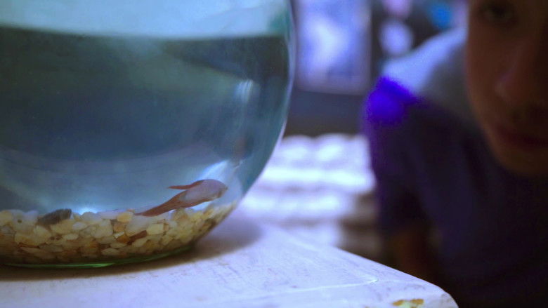 кадр из фильма Reflejos del Cielo