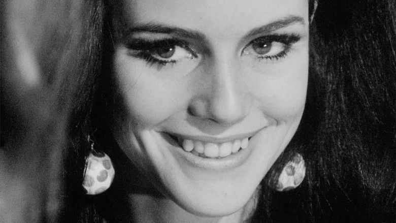 кадр из фильма Paraphernalia