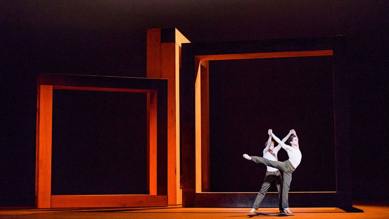 кадр из фильма Woolf Works