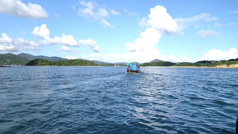 кадр из фильма 他們的海