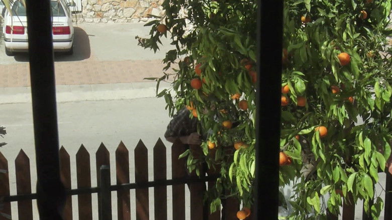 кадр из фильма برتقال