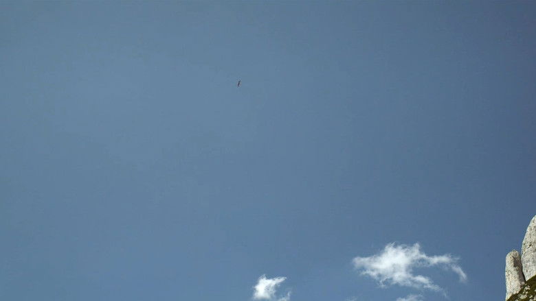 кадр из фильма Стена