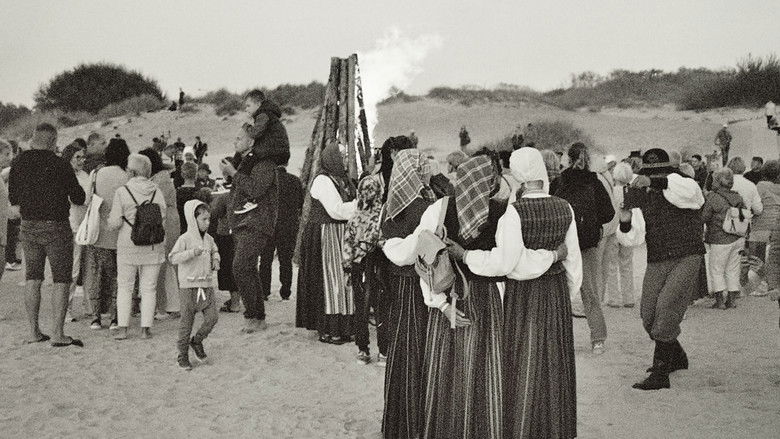 кадр из фильма Svečias