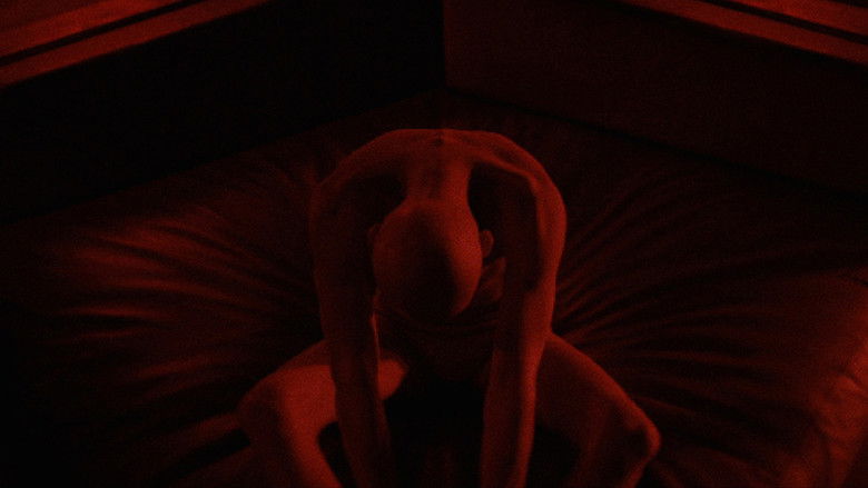 кадр из фильма Высшая форма