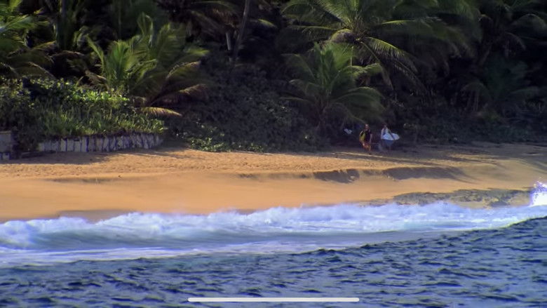 кадр из фильма Psychic Migrations