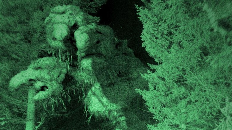 кадр из фильма Охотники на троллей