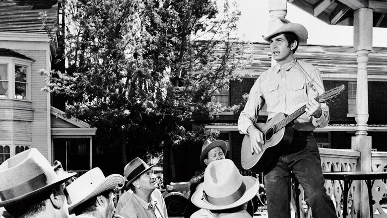 кадр из фильма Your Cheatin' Heart