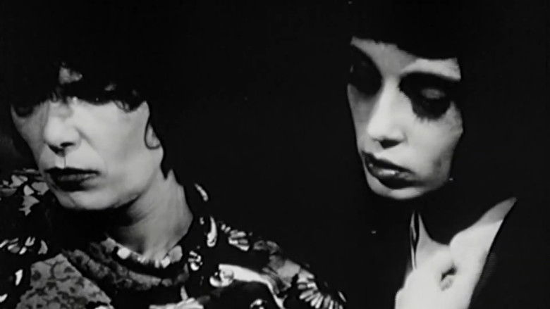 кадр из фильма FRANZ ZWARTJES : 