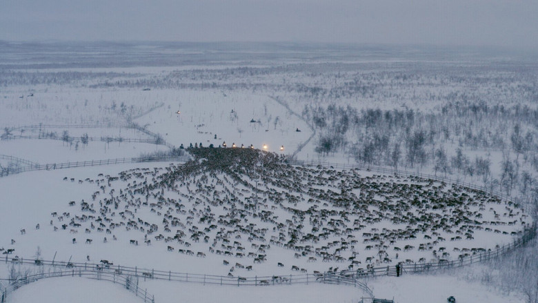 кадр из фильма Historjá – Stygn för Sapmí