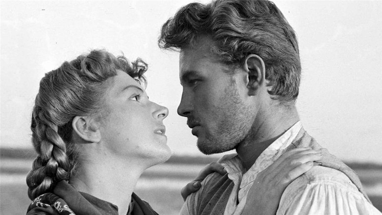 кадр из фильма Il mulino del Po