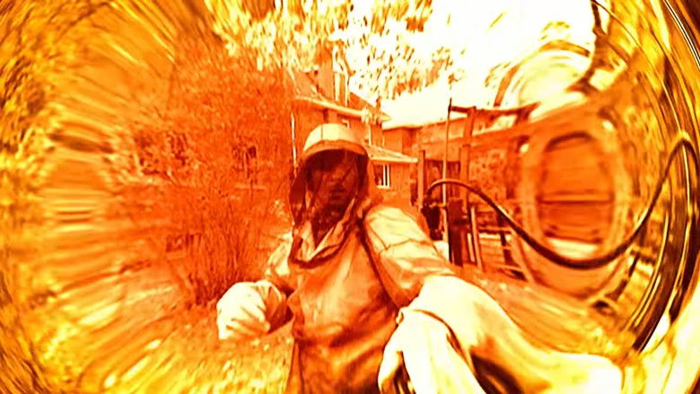 кадр из фильма Рой