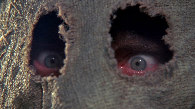 кадр из фильма Темная ночь пугала