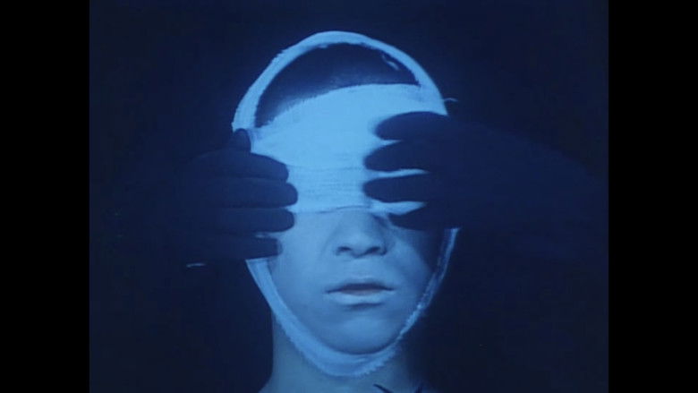 кадр из фильма 疱瘡譚