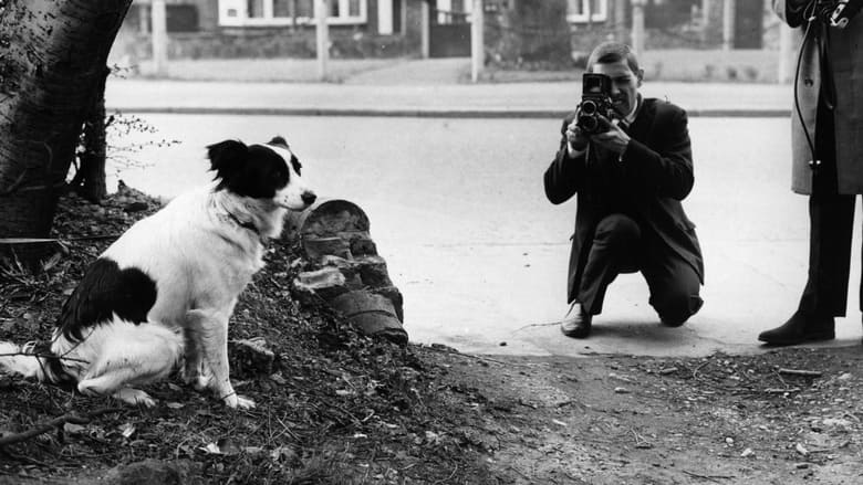 кадр из фильма 1966: Who Stole The World Cup?