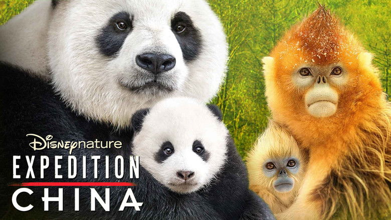 кадр из фильма Expedition China