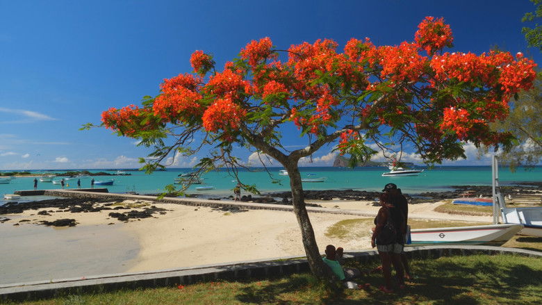 кадр из фильма Mauritius - Die Fernwehmacher unterwegs im Tropenparadies
