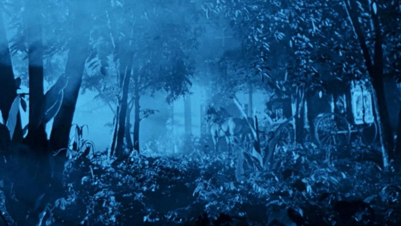 Пьющие кровь