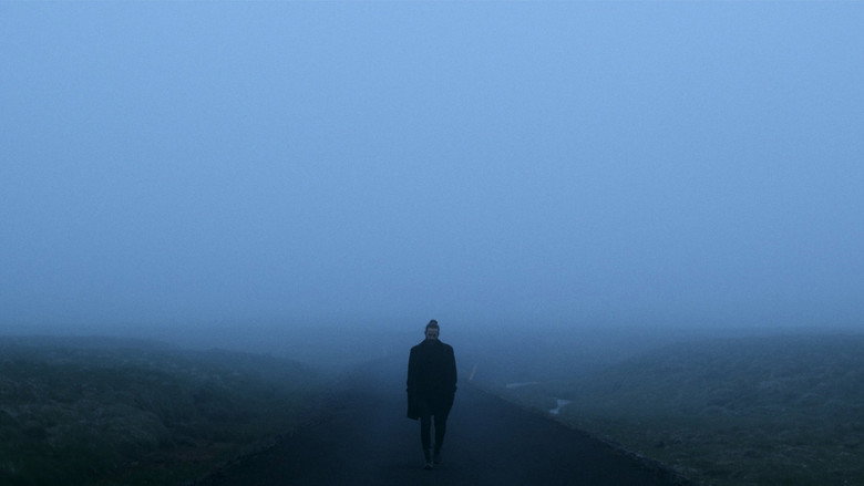 кадр из фильма Allra augu á mér