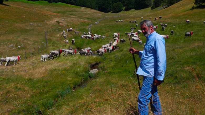 кадр из фильма Figli del Minotauro / Storie di Uomini e Animali