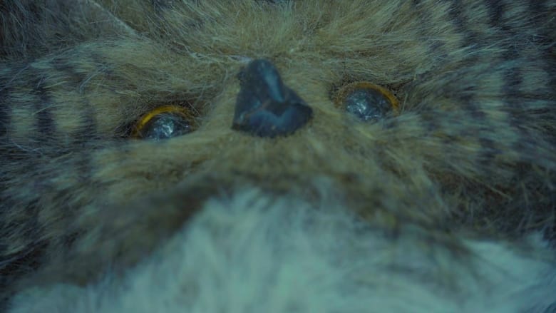 кадр из фильма Hoot