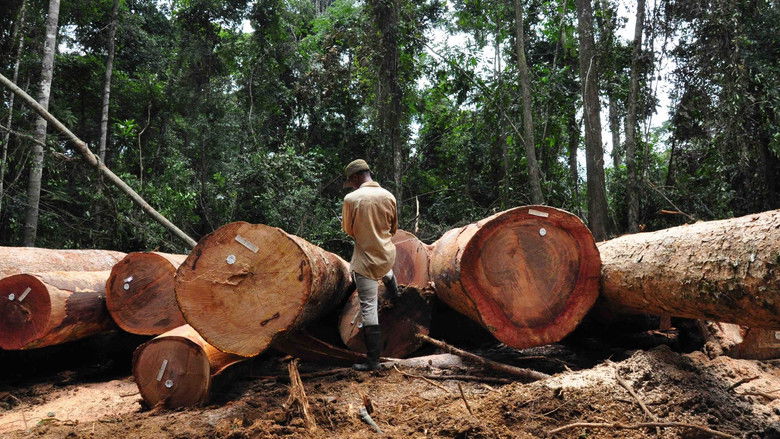 кадр из фильма Silas